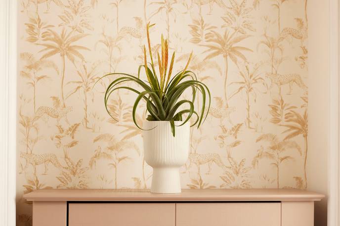 vibes fold coupe 14cm silky white